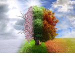 Seasons_year