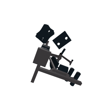 Weight System