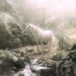 ༻ཐིfaeriecastleཋྀ༺
