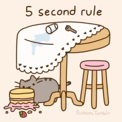 Pusheen 5 second rule Pic [Free] Best for BLOXBURG Roblox decal