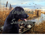 Louisiana Swampin'