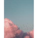AestheticxDream