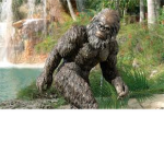 Bigfoot/Yeti Believers