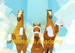 ~ Waterfall ~ Academy ~