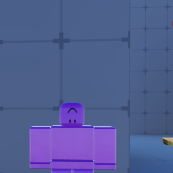 DUELS