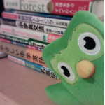 Ｄｕｏｌｉｎｇｏ Ｃｕｌｔ