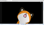 stupid idiot studio