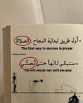 جيش مس نوف