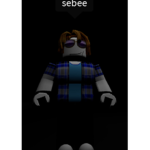 fake sebee group