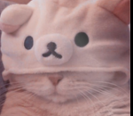 ‘ bow