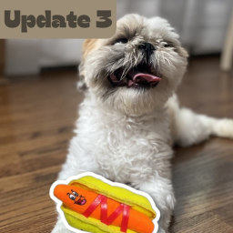Renly RNG [Dog toys Update]!