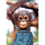 The Monkeyyy Squad