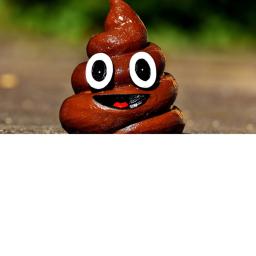 EPIC POOP PVP