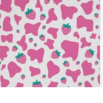 Princess clothes x