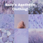 Sally's Aesthetic Clothing!