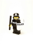 pwnig police
