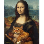Everything Cats :3