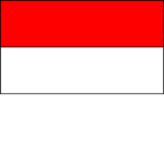 INDONESIA TEAM