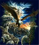 The Great Bald Eagles
