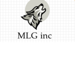 MLG inc