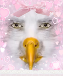 x.F4c3less.f4m.x
