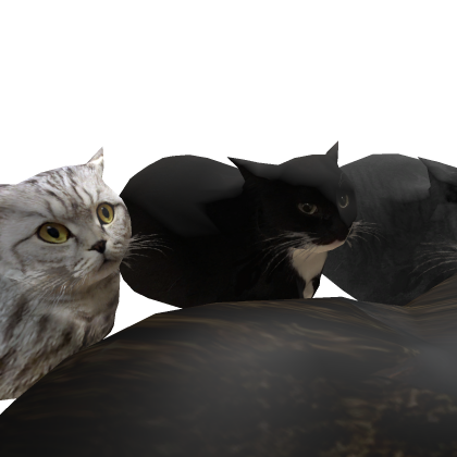 Cats