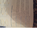 robux grub u