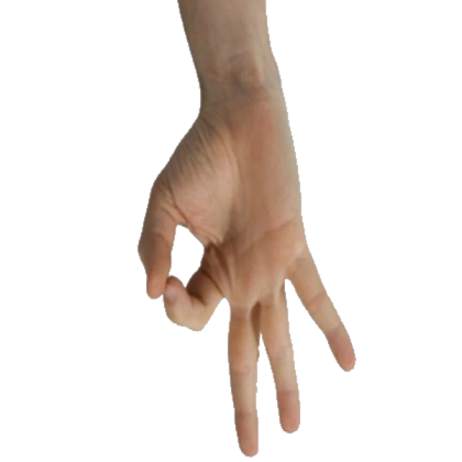ok hand meme Roblox decal