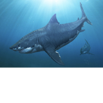 The Megaladon Squad