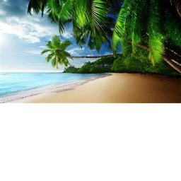 Paradise :)