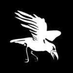Corvus Interactive