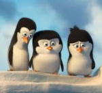 waddles penguin group
