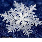 Frost's Winter WonderLand RP