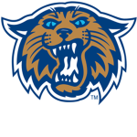 F-Ball "WilmingtonWildCats"