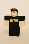 BVNH (Brüder von Notruf Hamburg)