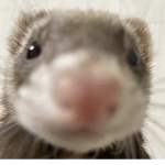 #fullofenvy