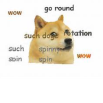 The Doge Republic