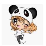 Panda Squad (from the real Ella plays)