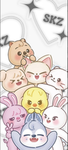 Stray kids fan <3
