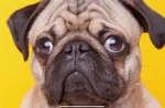 1000 words is very stressful