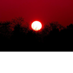 Sun Runners