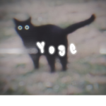 y o g e