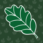 The Grand Oak