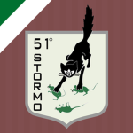51º Stormo