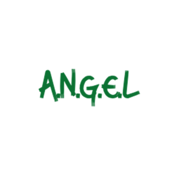 A.N.G.E.L.