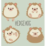 Hedge hog love