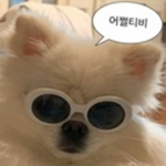 어절티비