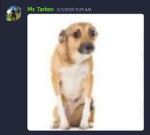 placeholder group (not use)