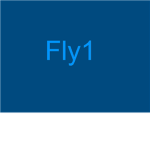 Fly1