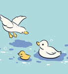 Anna's ducks